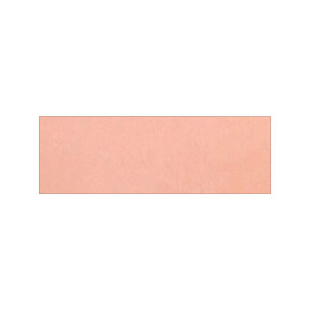 Mosaic House Moroccan tile C19 2x6 Cotta Cotta, pink  solid cement, encaustic, loose, size 