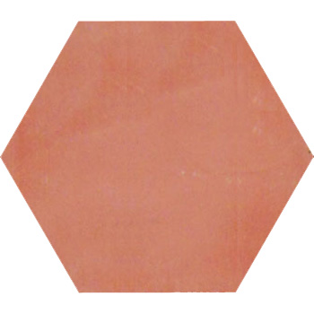 Mosaic House Moroccan tile C25 8x8 Hexagon Indian Red Indian Red  solid cement, encaustic, loose, size 